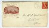IL. Kenney Illinois  Ad: Pigs United States and Worldwide Postal History