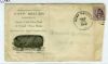 IA. Rock Valley Iowa  Ad: Pigs United States and Worldwide Postal History