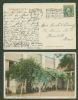 CA. Pasadena California  Ad: Expositions United States and Worldwide Postal History