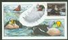 DC. Washington Dist of Columbia  Duck Stamps United States and Worldwide Postal History