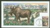 AK. Fairbanks Alaska  1991-2000 Issues United States and Worldwide Postal History