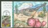 AZ. Tucson Arizona  1991-2000 Issues United States and Worldwide Postal History