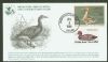 DC. Washington Dist of Columbia  Duck Stamps United States and Worldwide Postal History