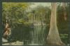 AR. Brinkley Arkansas  Post Card United States and Worldwide Postal History