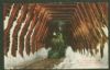 CA. California  Post Card United States and Worldwide Postal History