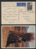    Pc: Real Photo United States and Worldwide Postal History