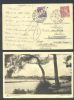    Postage Due United States and Worldwide Postal History