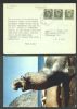    Ad: Medical United States and Worldwide Postal History