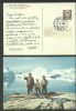    Ad: Medical United States and Worldwide Postal History