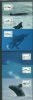    Maximum Card United States and Worldwide Postal History