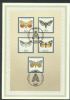    Fd: Souvenir Cards United States and Worldwide Postal History