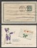    Post Card United States and Worldwide Postal History