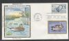 IA. Des Moines Iowa  Fd: Joint Issue United States and Worldwide Postal History