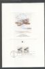 AZ. Phoenix Arizona  Coils United States and Worldwide Postal History