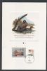 DC. Washington Dist of Columbia  Duck Stamps United States and Worldwide Postal History