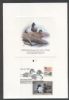 DC. Washington Dist of Columbia  Duck Stamps United States and Worldwide Postal History