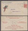 NY. New York New York  Ad: Birds United States and Worldwide Postal History