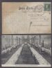 PA. Mont Alto Pennsylvania  Disinfected Mail United States and Worldwide Postal History