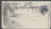 NY. New York New York  Ad: Bees United States and Worldwide Postal History