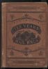 TEN YEARS AMONG THE MAIL BAGS: OR, NOTES FROM THE DIARY OF A SPECIAL AGENT OF THE POST-OFFICE DEPARTMENT Post Office Dept 20: Handbooks Stamp Stories United States and Worldwide Philatelic Literature